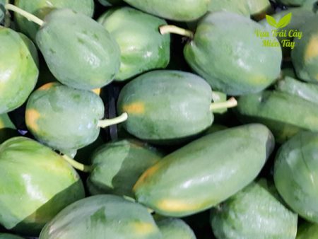 đu đủ ruột vàng vựa trái cây miền tây